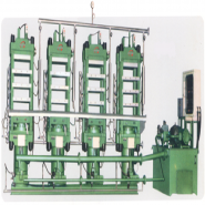 Steam Compression Forming Machine-Type A
